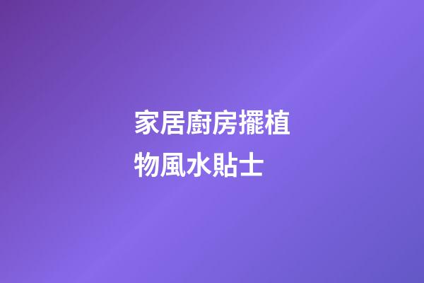 家居廚房擺植物風水貼士
