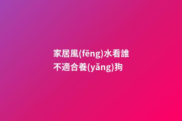 家居風(fēng)水看誰不適合養(yǎng)狗