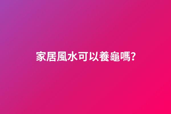 家居風水可以養龜嗎？
