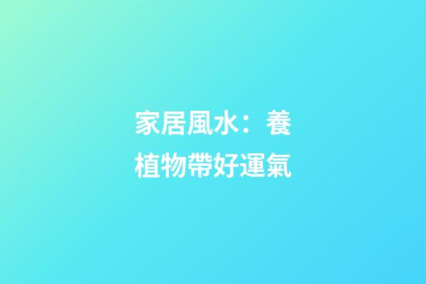 家居風水：養植物帶好運氣