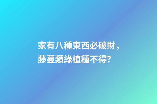 家有八種東西必破財，藤蔓類綠植種不得？