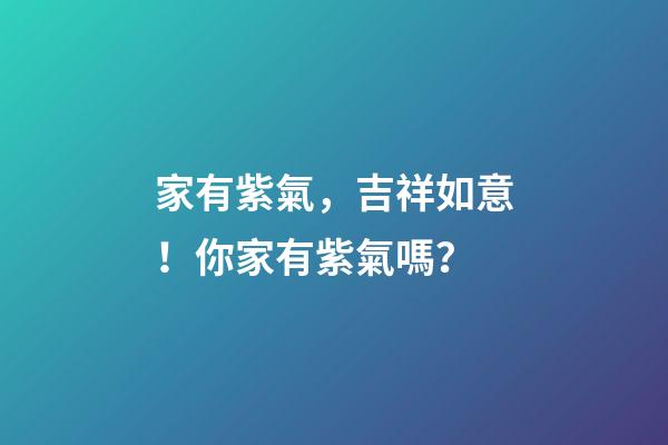 家有紫氣，吉祥如意！你家有紫氣嗎？