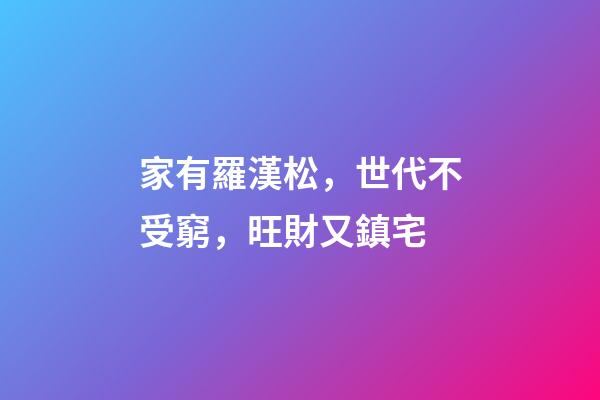 家有羅漢松，世代不受窮，旺財又鎮宅