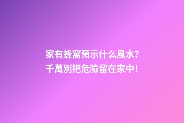 家有蜂窩預示什么風水？千萬別把危險留在家中！