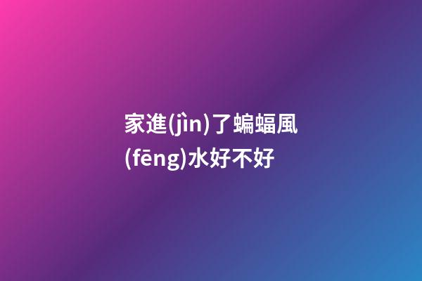 家進(jìn)了蝙蝠風(fēng)水好不好