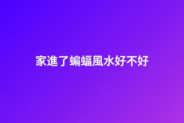家進了蝙蝠風水好不好