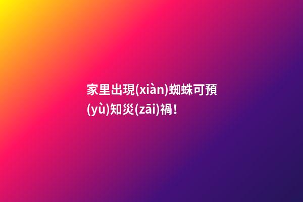 家里出現(xiàn)蜘蛛可預(yù)知災(zāi)禍！