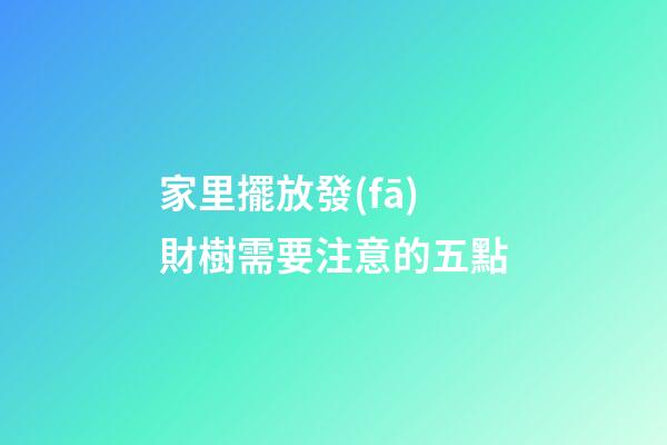 家里擺放發(fā)財樹需要注意的五點