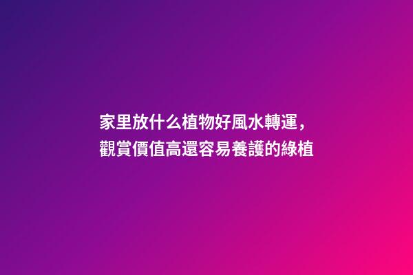 家里放什么植物好風水轉運，觀賞價值高還容易養護的綠植-第1張-觀點-玄機派