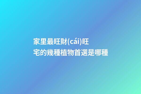 家里最旺財(cái)旺宅的幾種植物首選是哪種