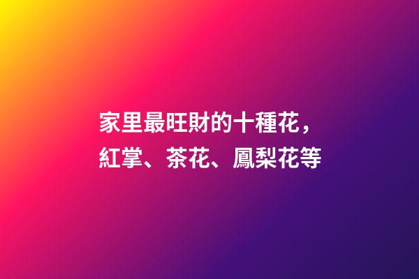 家里最旺財的十種花，紅掌、茶花、鳳梨花等