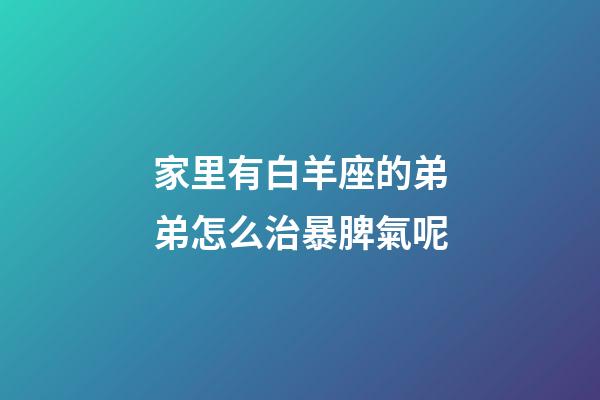 家里有白羊座的弟弟怎么治暴脾氣呢-第1張-星座運勢-玄機派