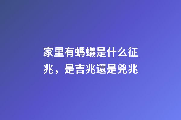 家里有螞蟻是什么征兆，是吉兆還是兇兆