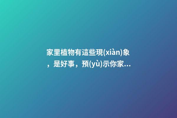 家里植物有這些現(xiàn)象，是好事，預(yù)示你家要發(fā)大財(cái)了！