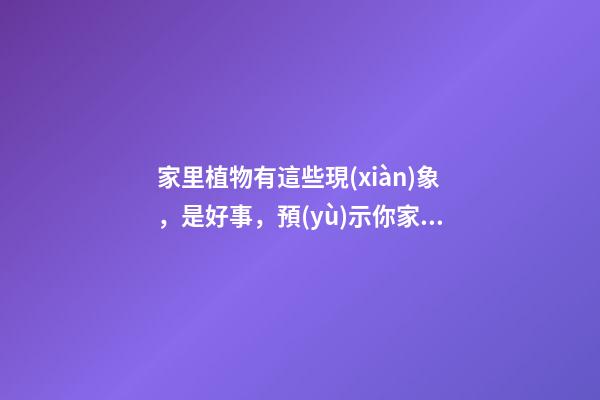 家里植物有這些現(xiàn)象，是好事，預(yù)示你家要發(fā)大財了！