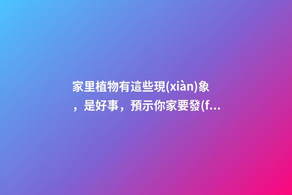 家里植物有這些現(xiàn)象，是好事，預示你家要發(fā)大財了！