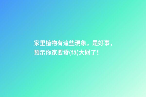 家里植物有這些現象，是好事，預示你家要發(fā)大財了！