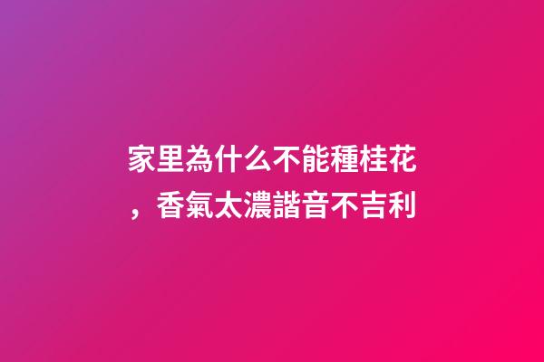 家里為什么不能種桂花，香氣太濃諧音不吉利