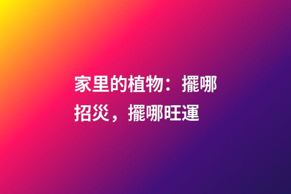 家里的植物：擺哪招災，擺哪旺運
