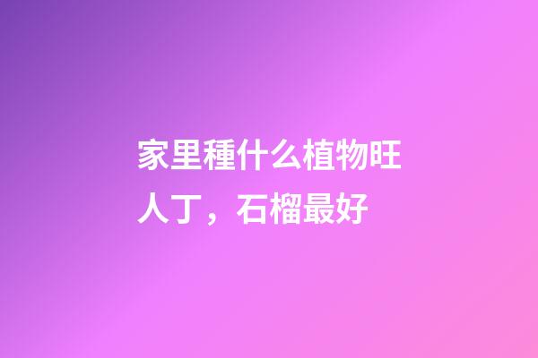 家里種什么植物旺人丁，石榴最好