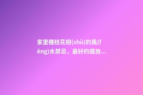 家里種桂花樹(shù)的風(fēng)水禁忌，最好的擺放位置在這
