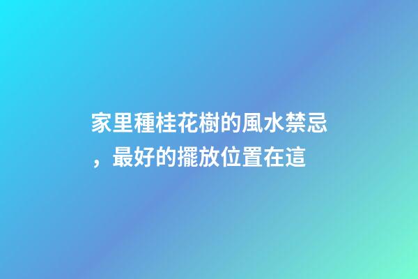 家里種桂花樹的風水禁忌，最好的擺放位置在這