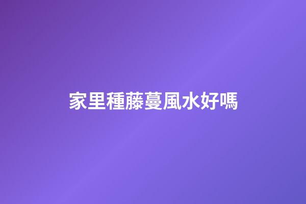 家里種藤蔓風水好嗎