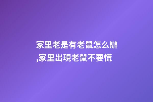 家里老是有老鼠怎么辦,家里出現老鼠不要慌-第1張-觀點-玄機派