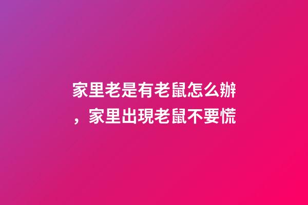 家里老是有老鼠怎么辦，家里出現老鼠不要慌-第1張-觀點-玄機派
