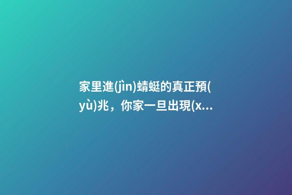 家里進(jìn)蜻蜓的真正預(yù)兆，你家一旦出現(xiàn)這3種現(xiàn)象-第1張-觀點(diǎn)-玄機(jī)派
