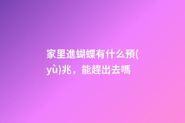 家里進蝴蝶有什么預(yù)兆，能趕出去嗎