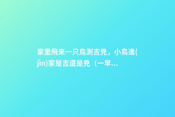 家里飛來一只鳥測吉兇，小鳥進(jìn)家是吉還是兇（一早家里飛來一只鳥測吉兇）