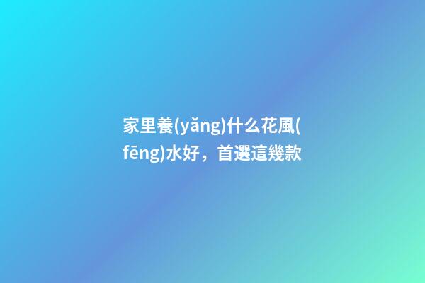 家里養(yǎng)什么花風(fēng)水好，首選這幾款