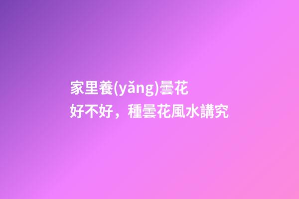 家里養(yǎng)曇花好不好，種曇花風水講究
