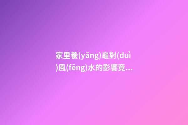 家里養(yǎng)龜對(duì)風(fēng)水的影響竟然這么大，看到嚇一跳！
