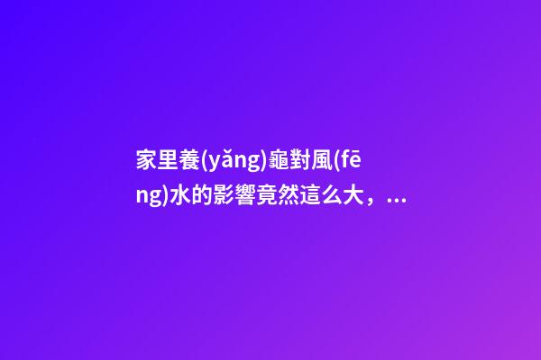 家里養(yǎng)龜對風(fēng)水的影響竟然這么大，看到嚇一跳！