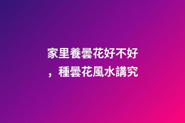 家里養曇花好不好，種曇花風水講究