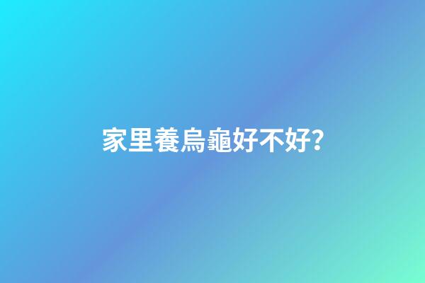 家里養烏龜好不好？
