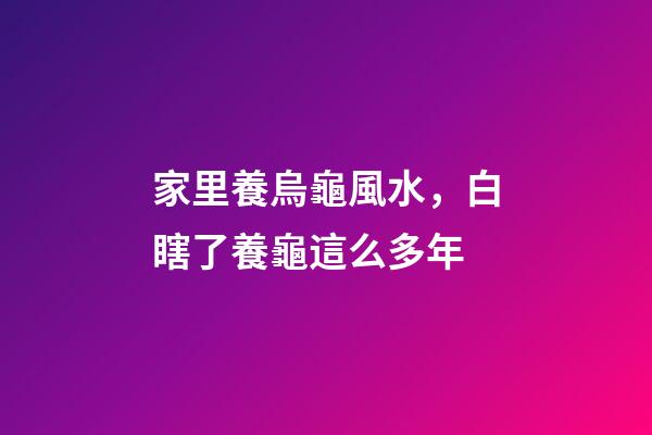 家里養烏龜風水，白瞎了養龜這么多年-第1張-觀點-玄機派