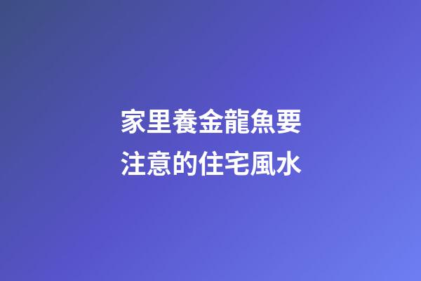 家里養金龍魚要注意的住宅風水