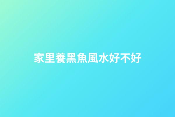 家里養黑魚風水好不好