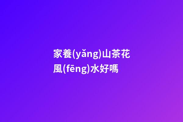 家養(yǎng)山茶花風(fēng)水好嗎