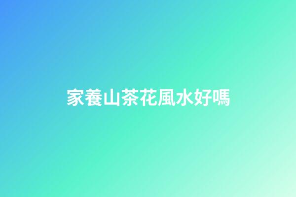家養山茶花風水好嗎