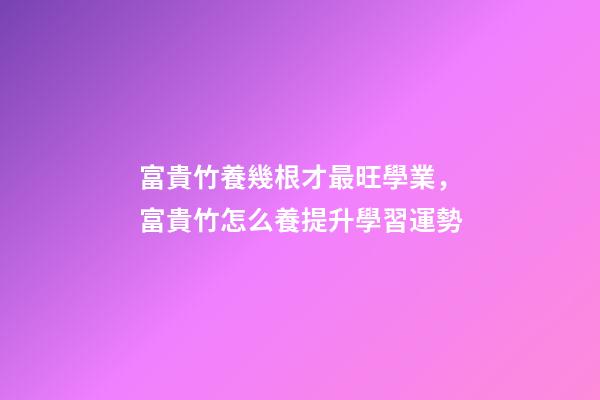 富貴竹養幾根才最旺學業，富貴竹怎么養提升學習運勢