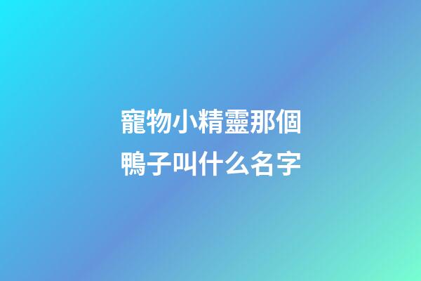 寵物小精靈那個鴨子叫什么名字