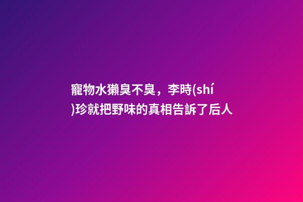 寵物水獺臭不臭，李時(shí)珍就把野味的真相告訴了后人-第1張-觀點(diǎn)-玄機(jī)派