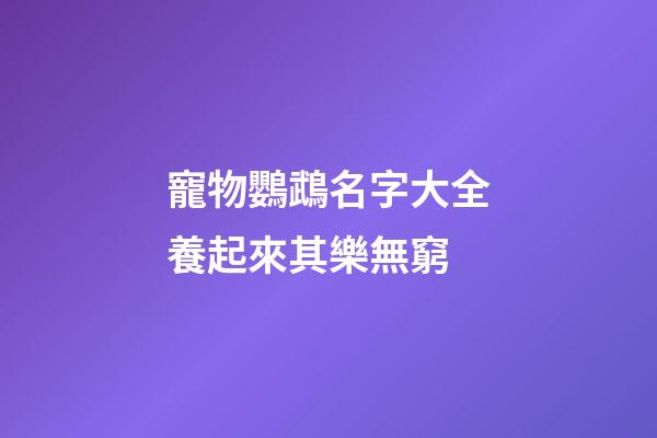 寵物鸚鵡名字大全養起來其樂無窮