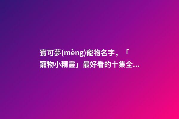 寶可夢(mèng)寵物名字，「寵物小精靈」最好看的十集全在這了