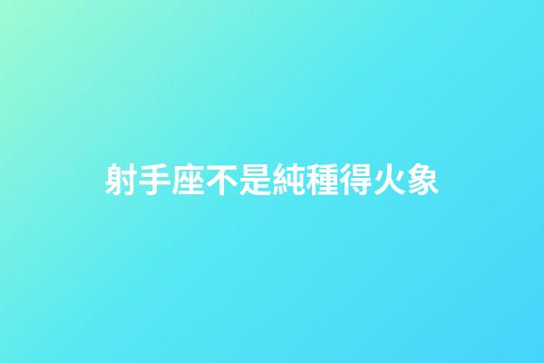 射手座不是純種得火象-第1張-星座運勢-玄機派