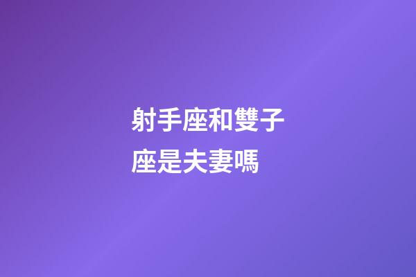 射手座和雙子座是夫妻嗎-第1張-星座運勢-玄機派